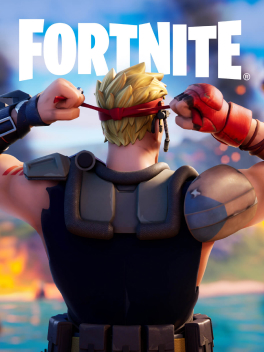 Fortnite Cover