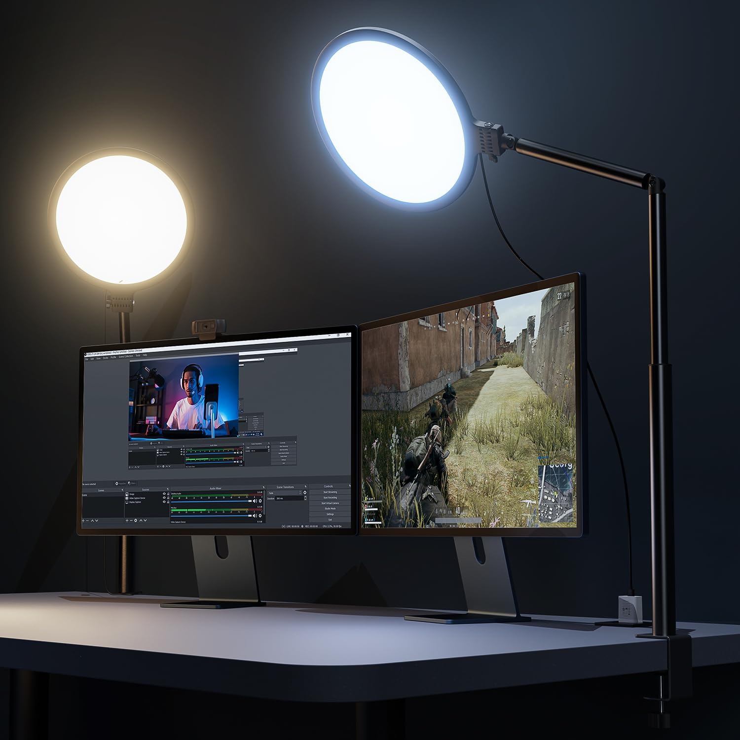 Weilisi 10.2" Desk Ring Light with Stand